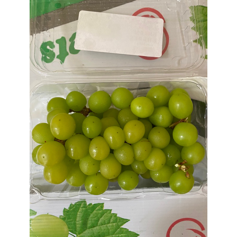 buah anggur muscat 500gram