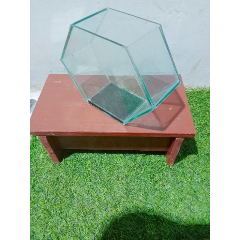 Soliter kaca 20*8*15 // Akuarium kaca hexagonal // Aquarium kaca // Soliter cupang // Tempat ikan hi