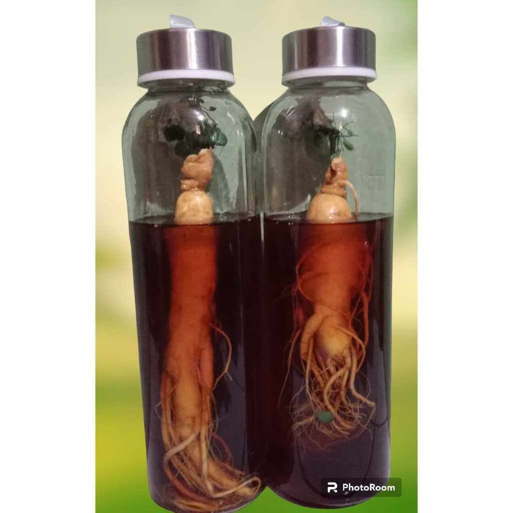 

MADU ASLI SUMBAWA DENGAN GINSENG KOREA 100% ORIGINAL