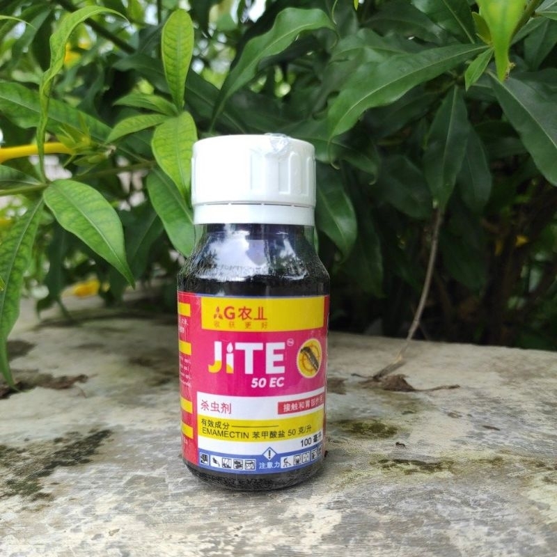 Jite Insektisida Ampuh Mengatasi Hama Ulat