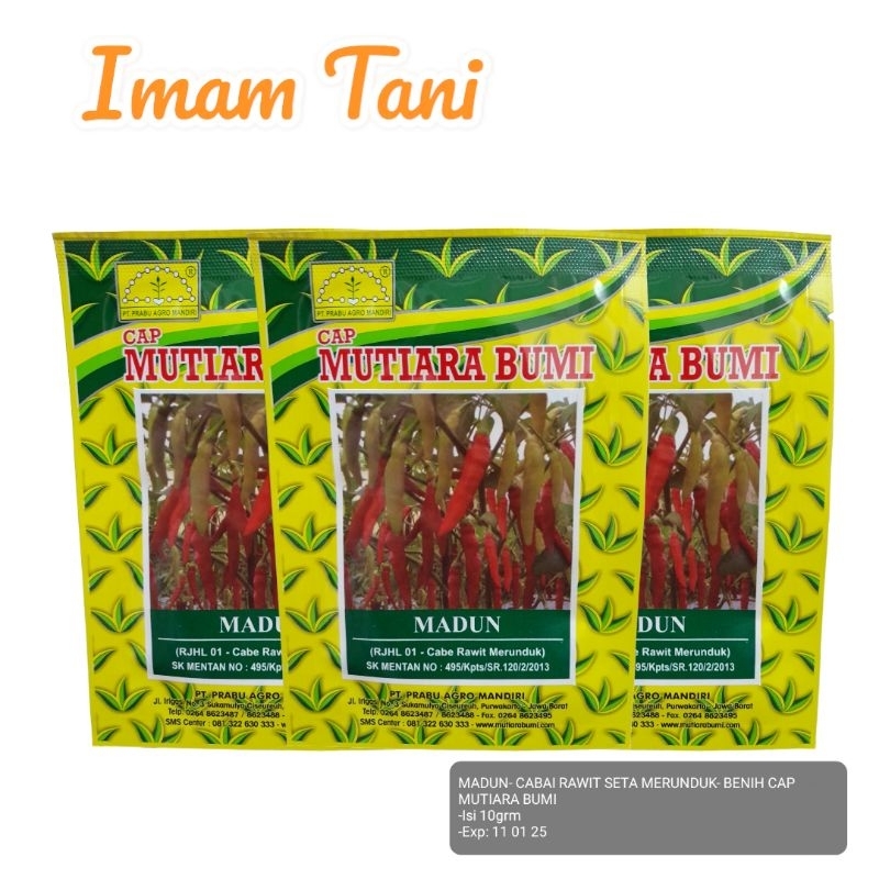 MADUN- CABAI RAWIT SETA MERUNDUK- BENIH CAP MUTIARA BUMI
