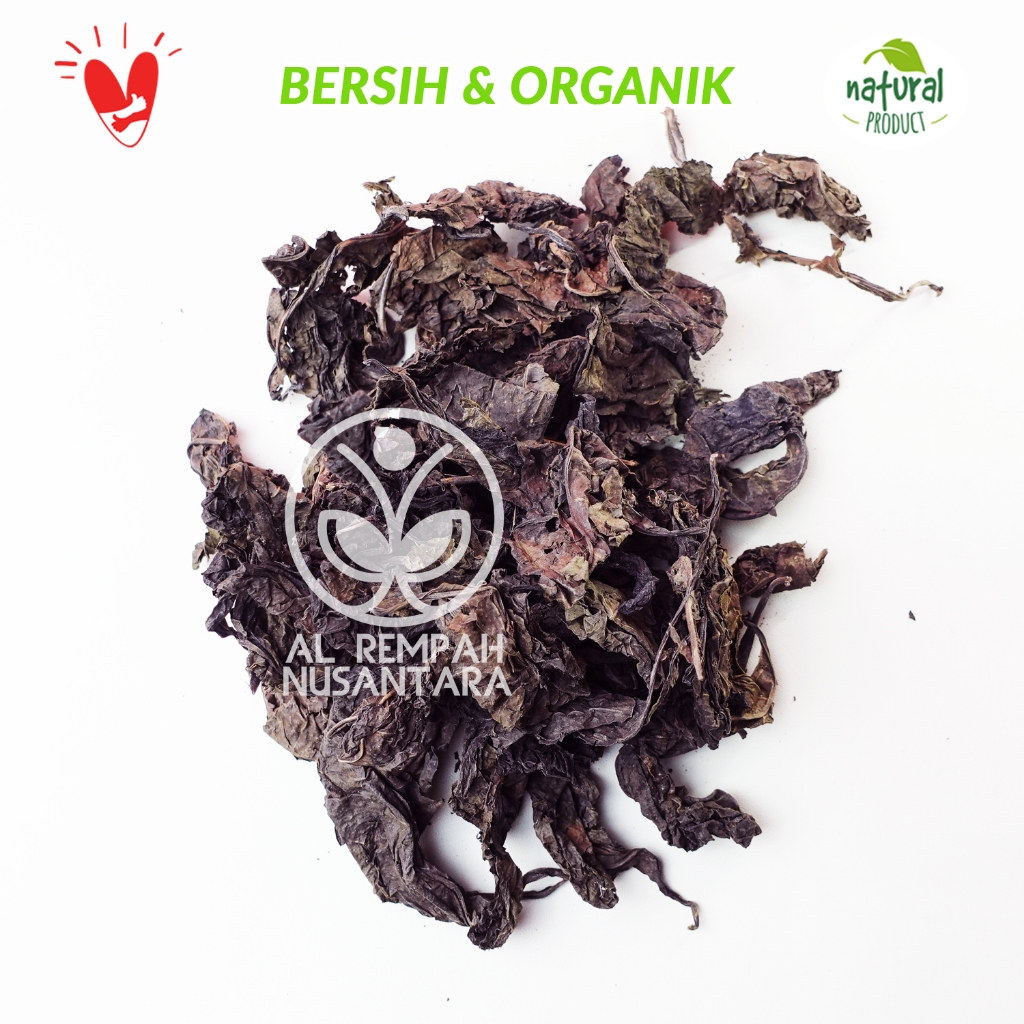 

Daun Ungu Asli Kering 50gr Organik - Obat Herbal Wasir