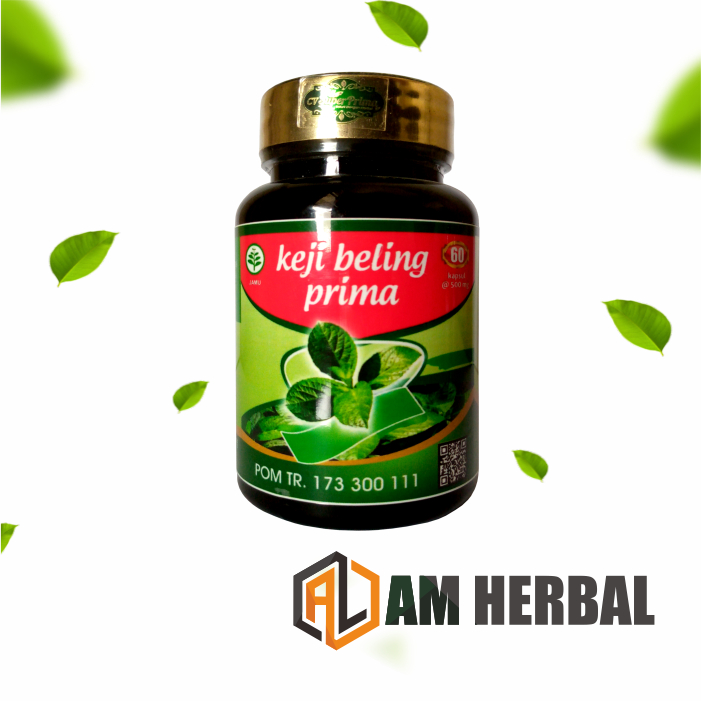 

Kapsul Herbal Keji Beling Batu Ginjal Urin POM TR