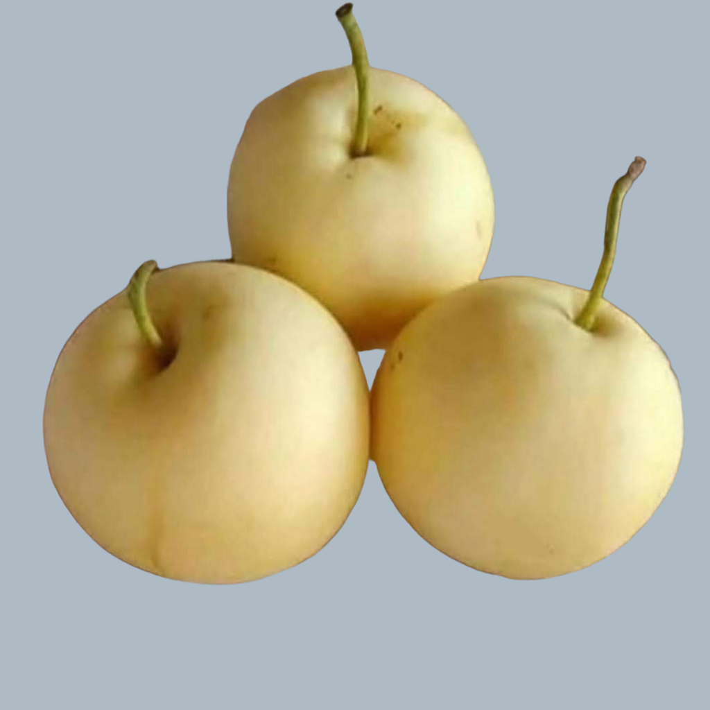 

Pear Century Buah Pir Import Segar Pilihan