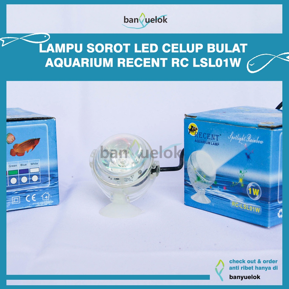 LAMPU SOROT LED CELUP BENTUK BULAT UNTUK AQUARIUM RECENT RC LSL01W 1 WATT WARNA WARNI