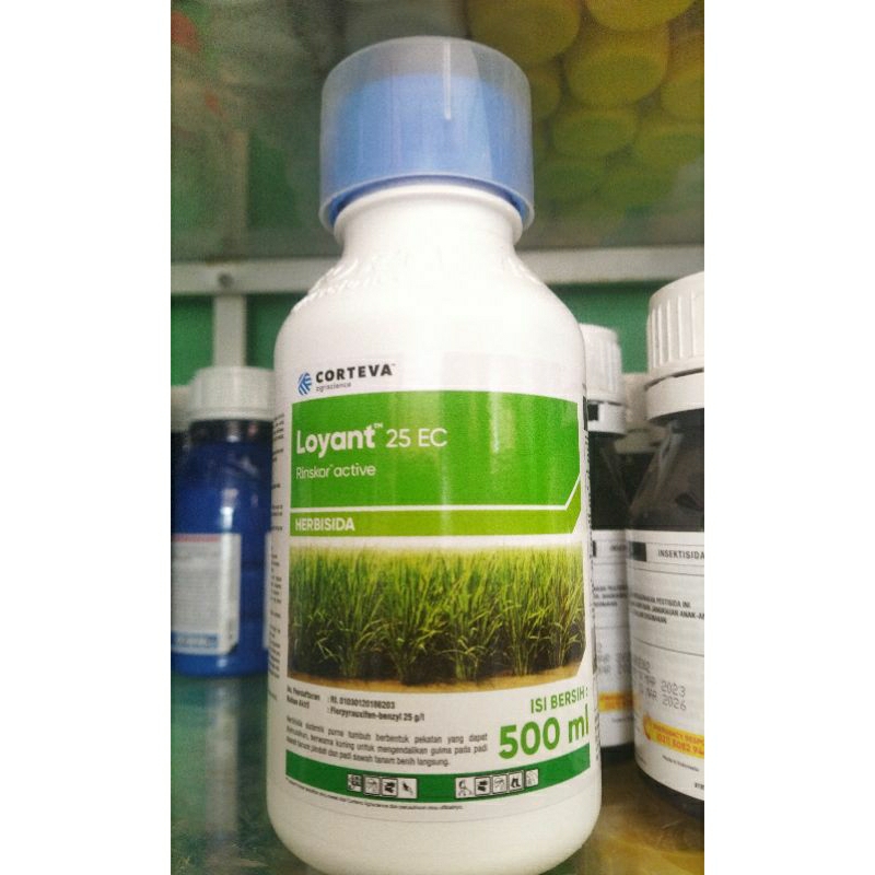 DISKON HERBISIDA LOYANT 500 ML UNTUK MEMBASMI RUMPUT PADA TANAMAN PADI.