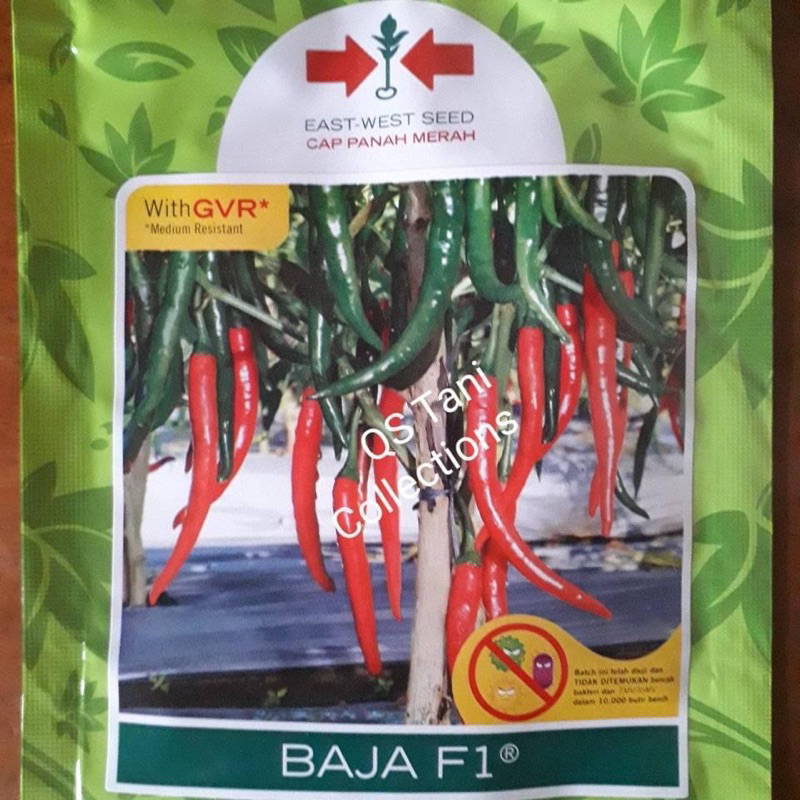 Benih bibit Cabe merah Besar BAJA F1 1500 butir