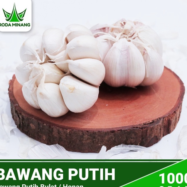 

XC26619 Bawang Putih Bulat Utuh Honan Banci 1 Kg
