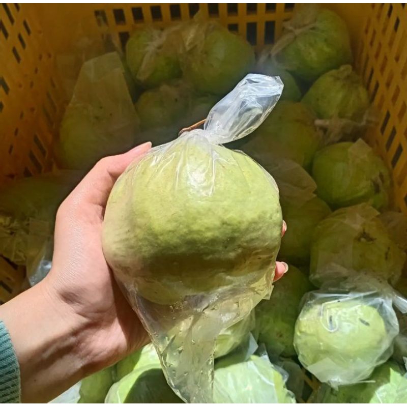 

1 kg Jambu Kristal Krenyes Manis kebumen...