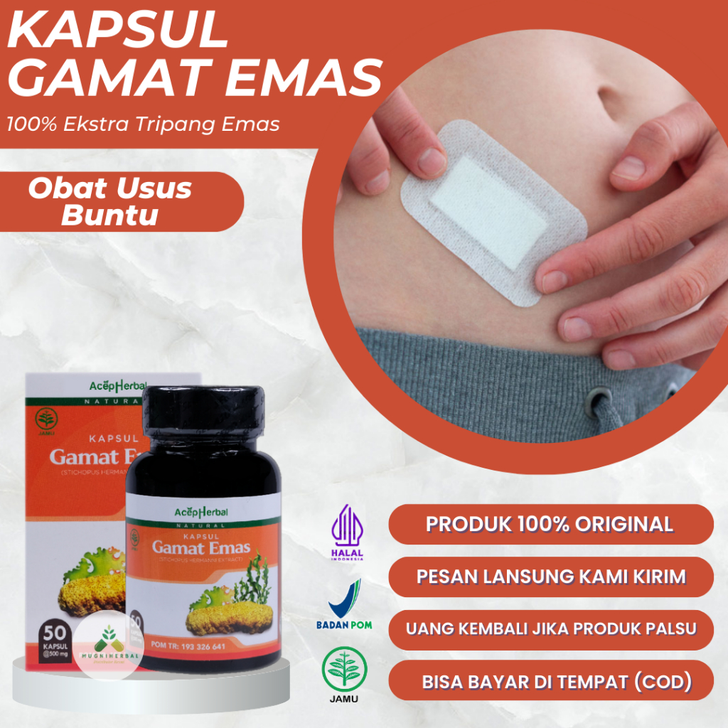 Gamat Emas Kapsul - Obat Usus Buntu, Usus Bengkak, Radang Usus Buntu, Infeksi Usus, Radang Usus Akut