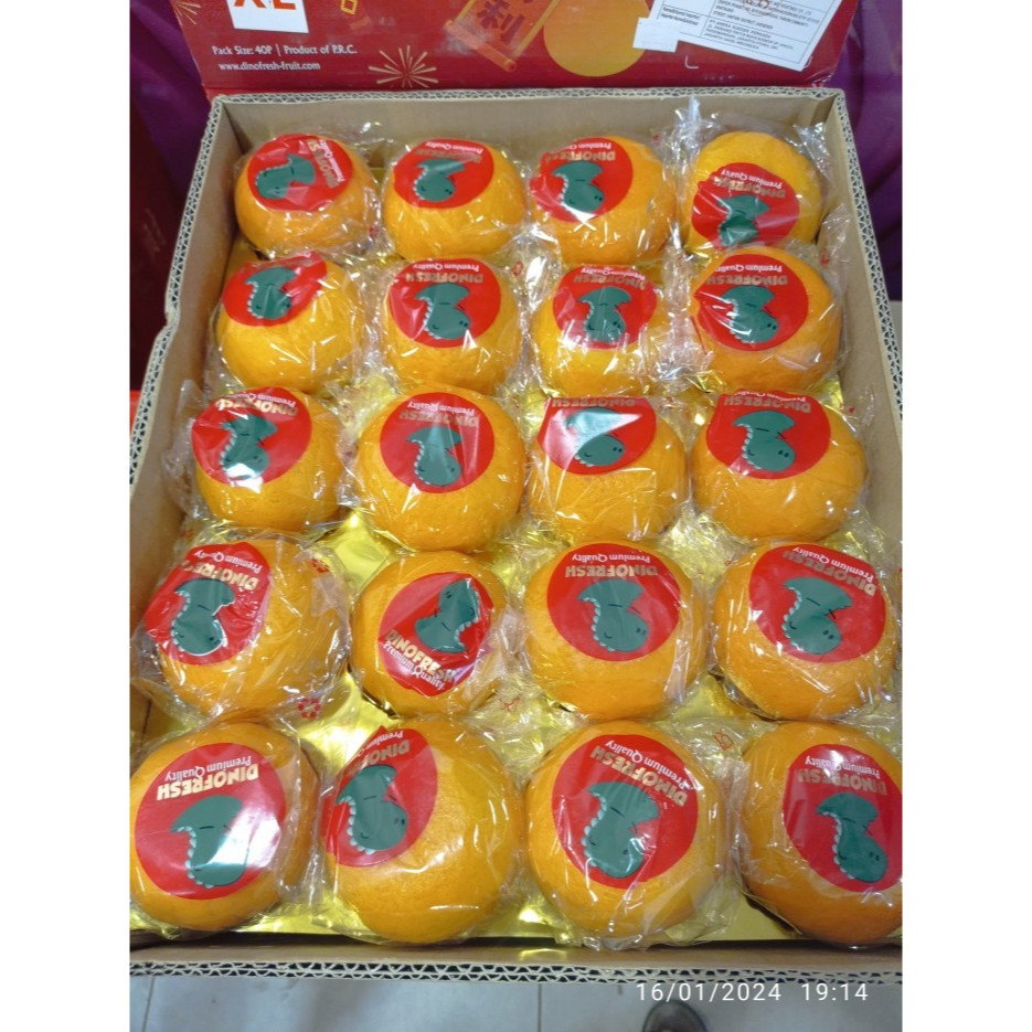 

JERUK PONKAM TAIWAN SIZE XL 40'' DINO FRESH - GIFT BOX IMLEK