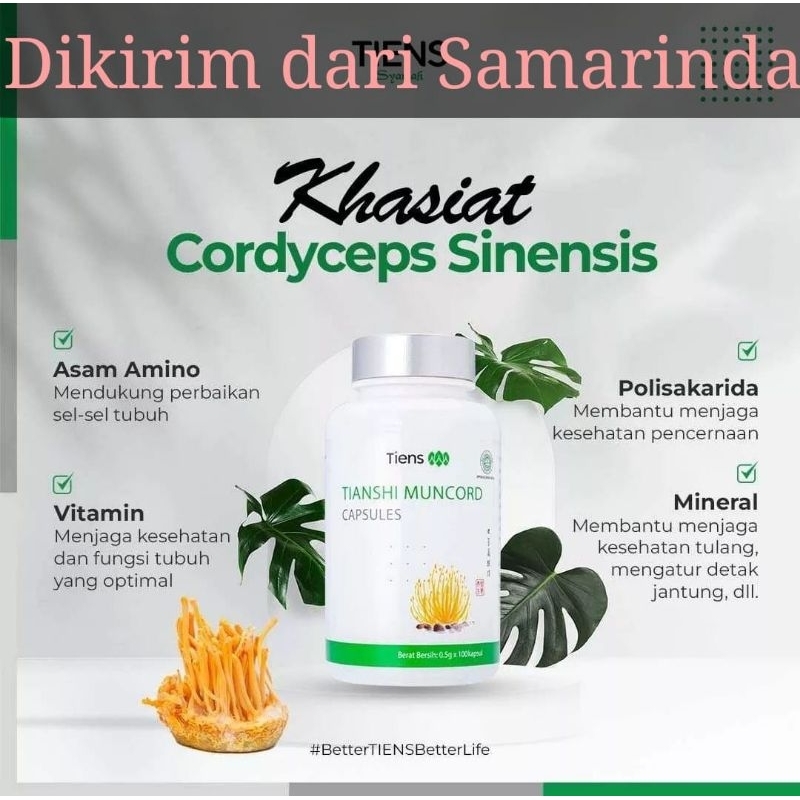 Muncord Capsules | Tiens Muncord | Cordyceps Tianshi | Dikirim dari Tiens Samarinda