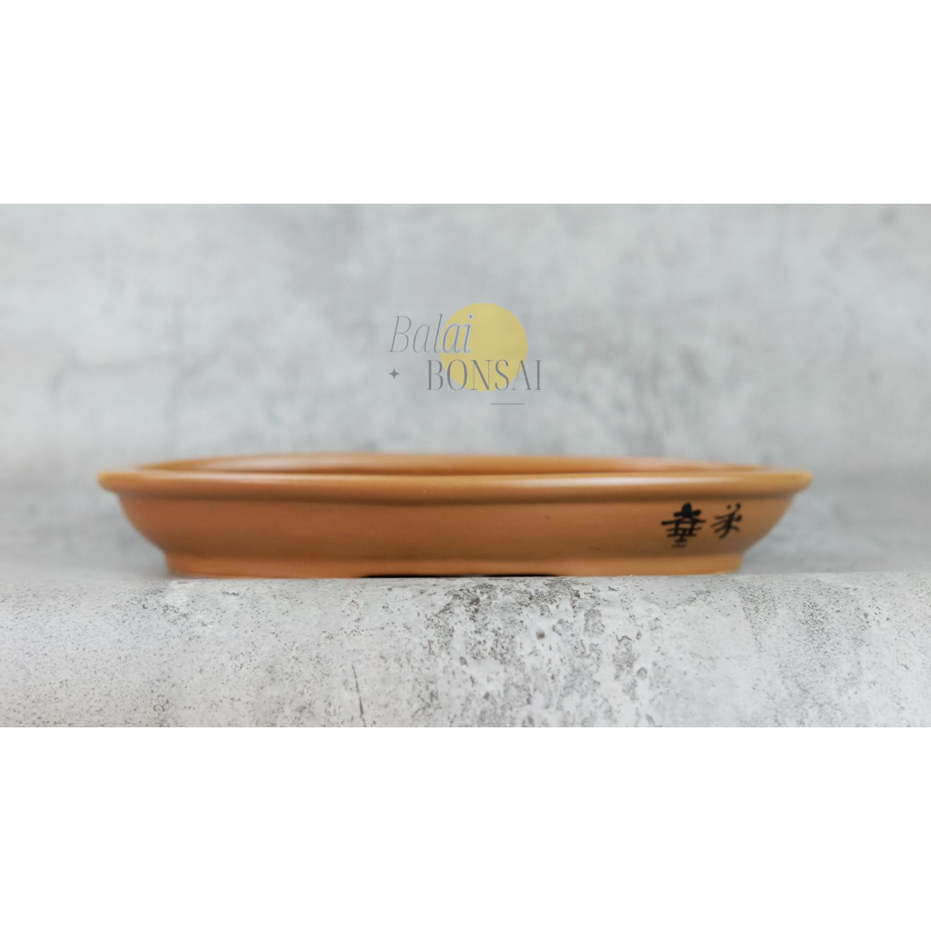 Pot Bonsai Keramik Ceper 20cm