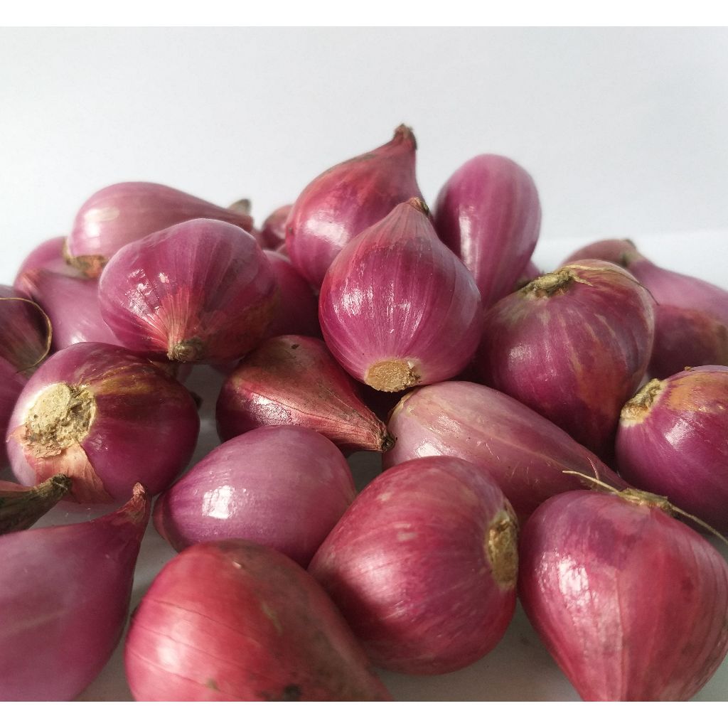 

Bawang Merah 1 kg TERMURAH