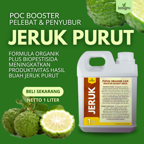Pupuk Jeruk Purut / Pupuk Booster Jeruk Cepat Berbuah Lebat Besar Manis dan Atasi Rontok / Pupuk Jer