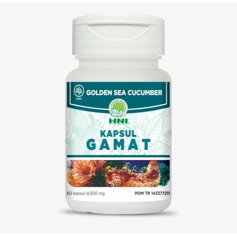GAMAT KAPSUL(tripang mas) anti nyeri