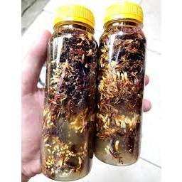 250 ml jamur jakaba penyubur tanaman spora jamur jakaba