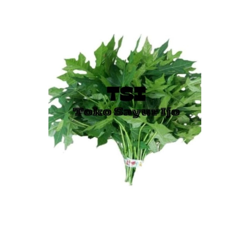 

Daun Pepaya - Kirim Instan