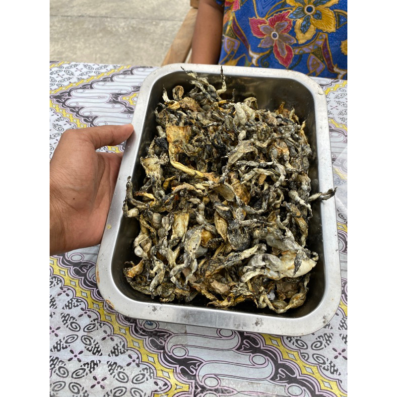 

Rambak kulit kodok
