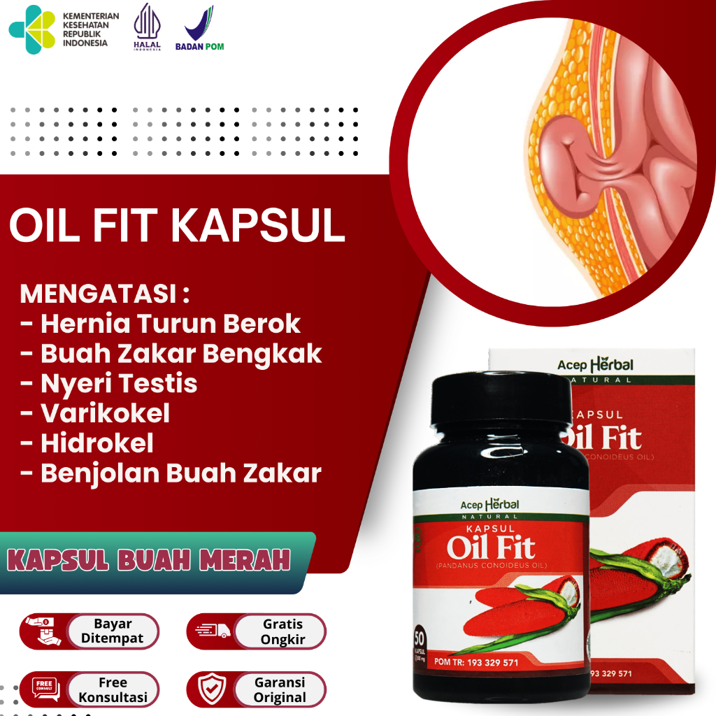 Obat Hernia HerbalTurun Berok Pria Wanita Alami Original Kapsul Oil Fit Herbal Asli Original