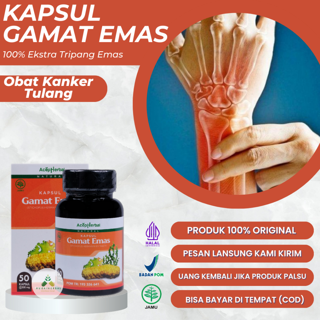 Gamat Emas Kapsul - Obat Kanker Tulang, Infeksi Tulang, Tumor Tulang Jinak, Benjolan Di Dalam Tulang
