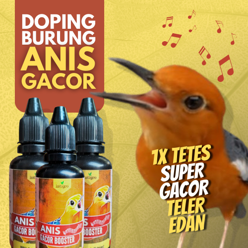 Vitamin Burung Anis Merah / Vitamin Burung Anis Kembang / Vitamin Burung Anis Merah Supaya Cepat Gac