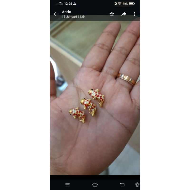 Charm Emas Ikan Keberuntungan Hongkong