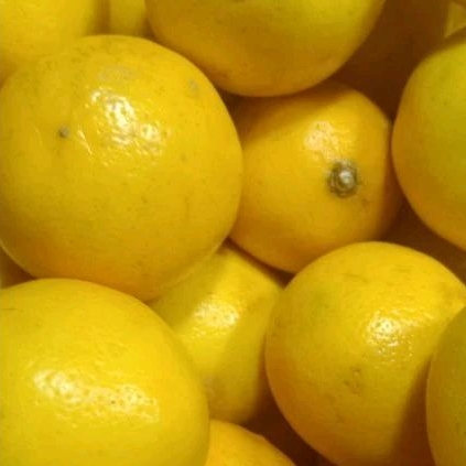 

Lemon per biji