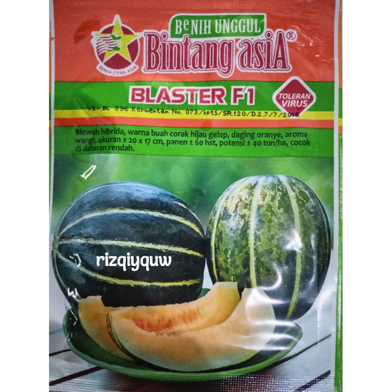 benih blewah/ benih blaster f1/bintang asia/15gram