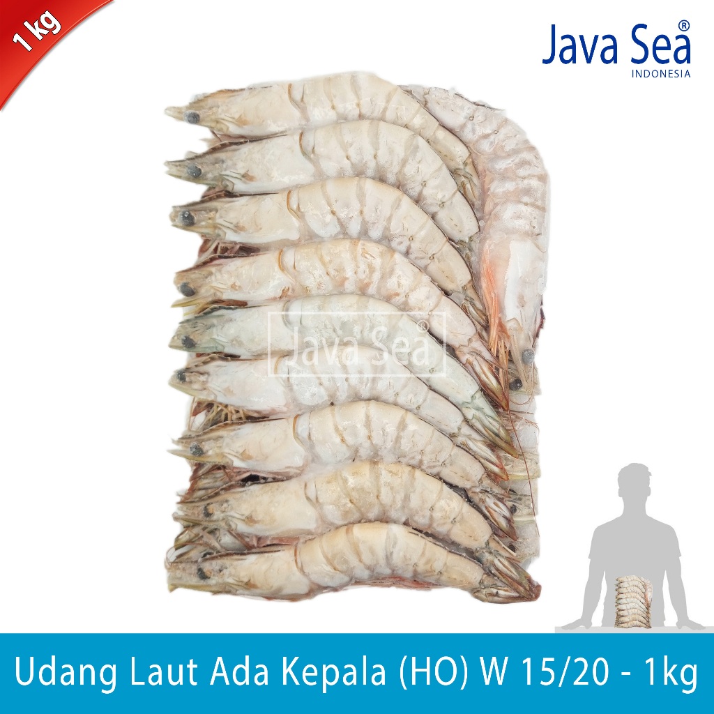 

Udang Laut Utuh Ada Kepala HO W 15/20 pack 1kg Java Sea