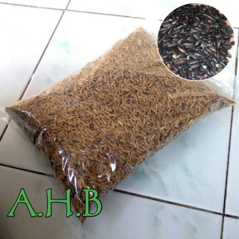 Gabah Tanaman Biji Padi Ketan Hitam Isi Per 1 Kg Organik