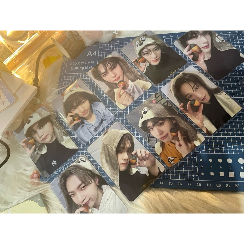 Photocard Zb1 Pob Makestar Squirrel
