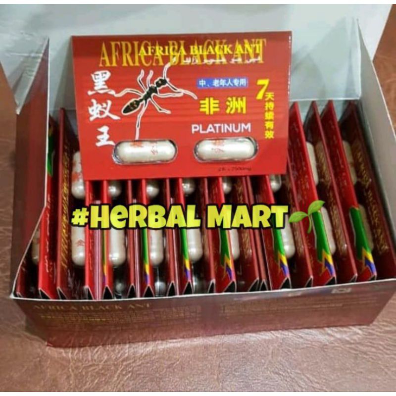 

AFRICA//BLACK//ANT PLATNUM