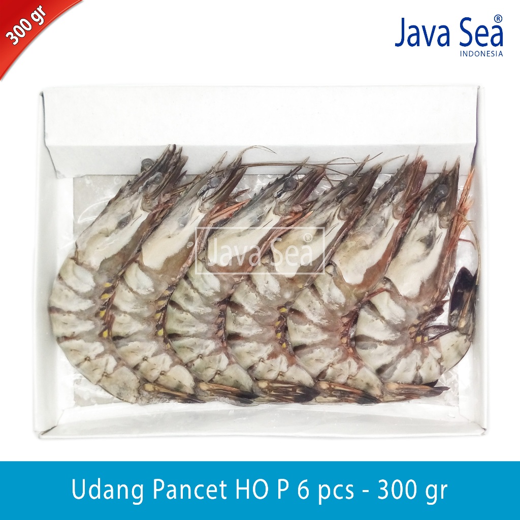 

Udang Pancet Utuh Ada Kepala HO P-6 pack 300gr Java Sea