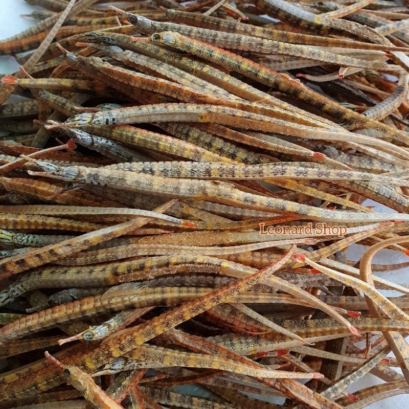 NAGA LAUT KUNING 100GR KERING SUPER HAI LONG BAHAN RENDAMAN GINSENG KL HERBAL OBAT KESUBURAN PRIA WA