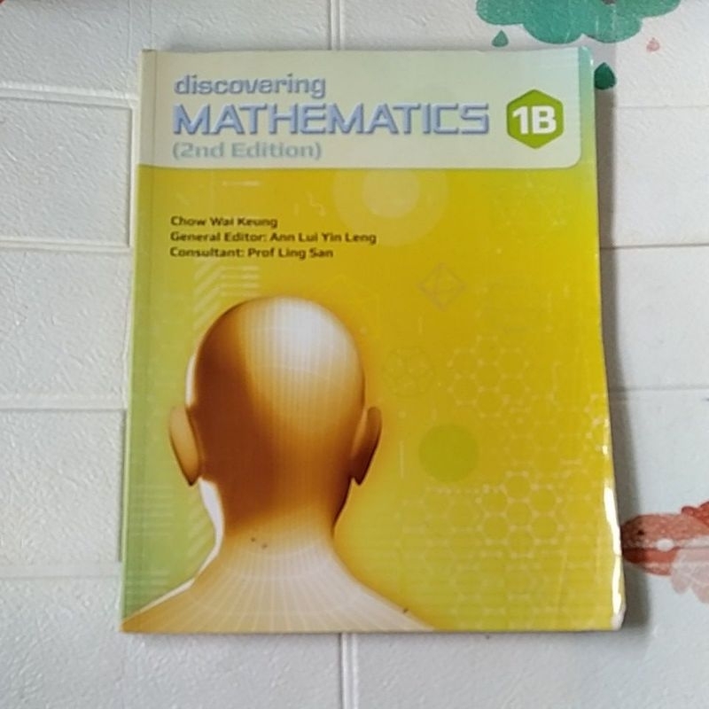 DISCOVERING MATHEMATICS 1B