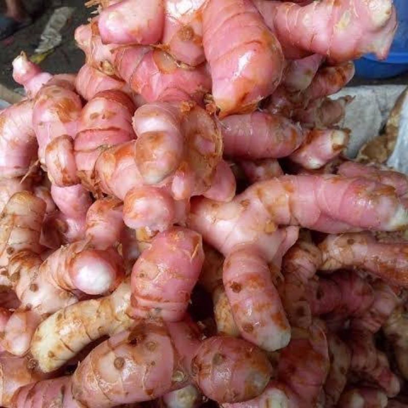 

laos/lengkuas fresh,bersih 1kg