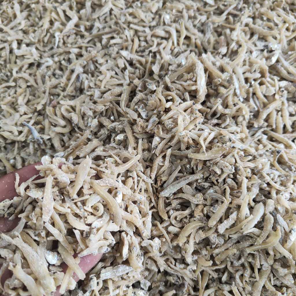 

Ikan Asin Teri Cue 500gr