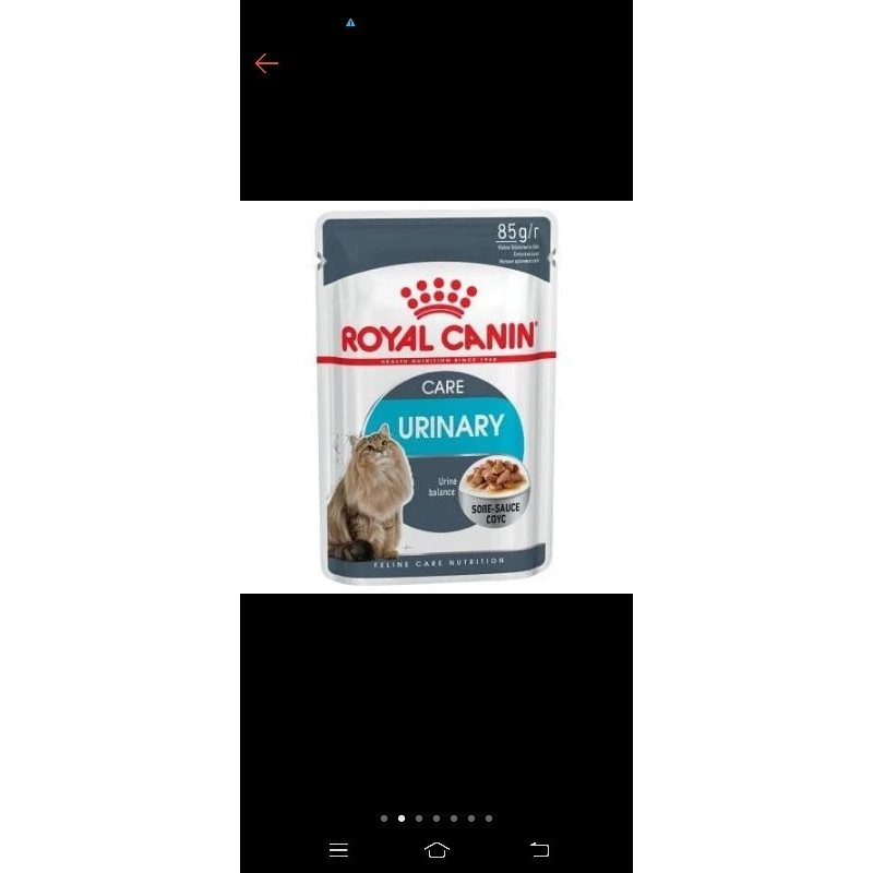 royal canin urinary 85gr/makanan kucing basah