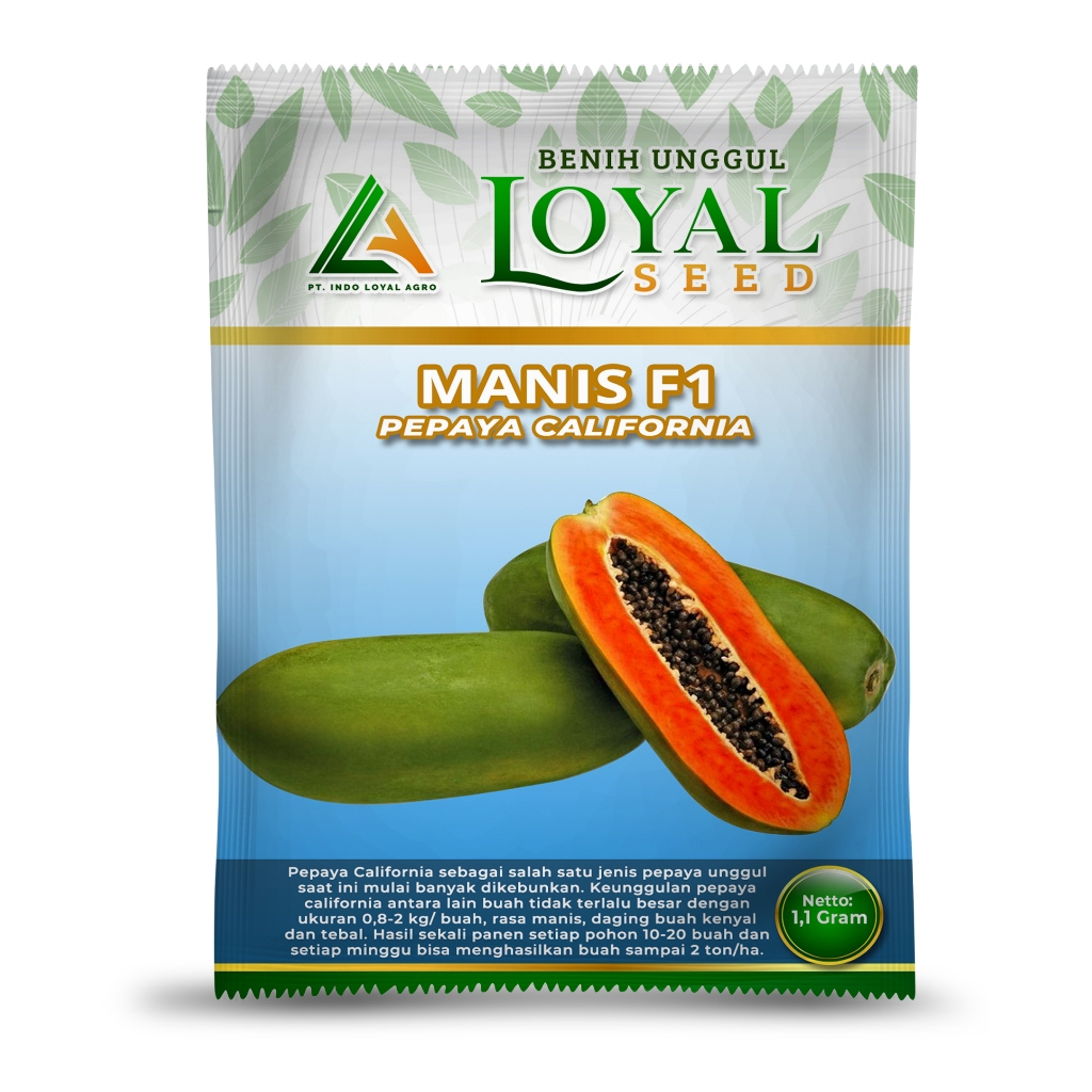 BENIH PEPAYA CALIFORNIA MANIS F1 / BIBIT MANIS F1 PEPAYA CALIFORNIA CAP LOYAL SEED KEMASAN 1,1 GRAM 