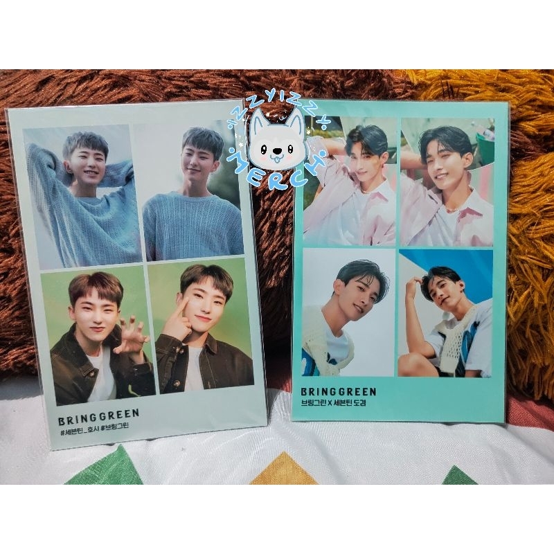 BSS Bringgreen photocard Hoshi DK Seungkwan