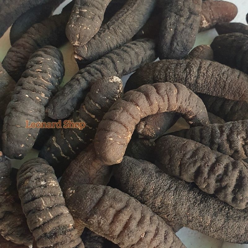 

HAISOM SUPER BANGKA BELITUNG KERING 100 GRAM ISI 3 EKOR BERKUALITAS TEBAL DAN KENYAL COCOK UNTUK RESTORAN MAUPUN RUMAHAN SEBAGAI OBAT LUKA DALAM LUAR DAN MENINGKATKAN STAMINA TERIPANG GOSOK / GAMAT / HOISOM / HAI SOM / HOI SOM HUPIO PERUT IKAN HISIT PASIR