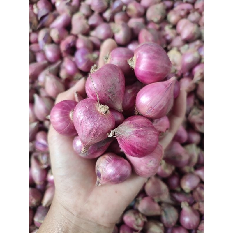 

Bawang Merah Super 1 Kg