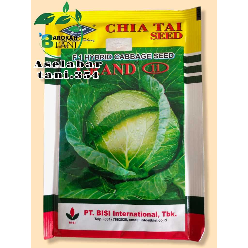 Benih kubis grand 11 Isi 15gr Hibrida F1