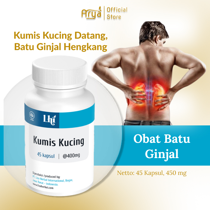 Kumis Kucing 45 Kapsul Atasi Rematik Dan Asam Urat