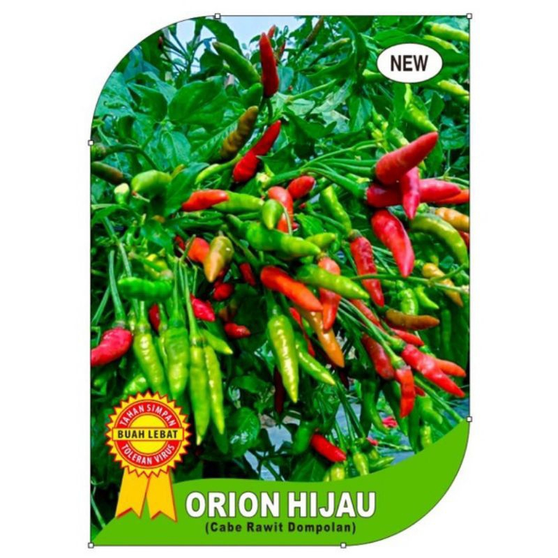 ( 20 Biji ) Benih Cabe Rawit Dompolan Hijau Cabe ORION HIJAU