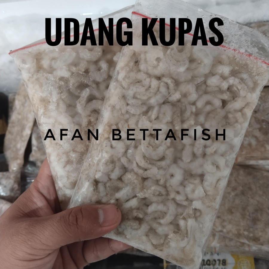 

Udang Api Kupas Beku 500gr Pakan Ikan Arwana Predator / Udang Laut Frozen 500 gram