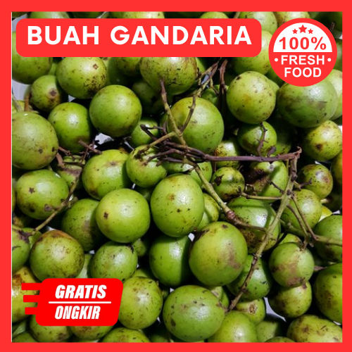 

1kg gandaria segar / jatake muda buah jatake