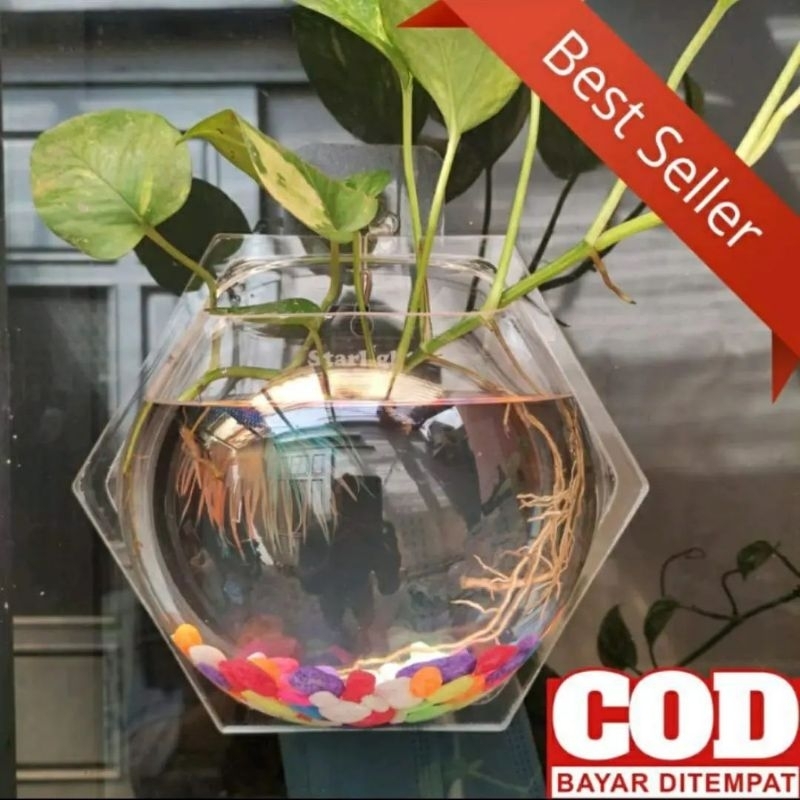 Aquarium Tempel Hiasan Dinding bentuk Hexagonal besar 20cm