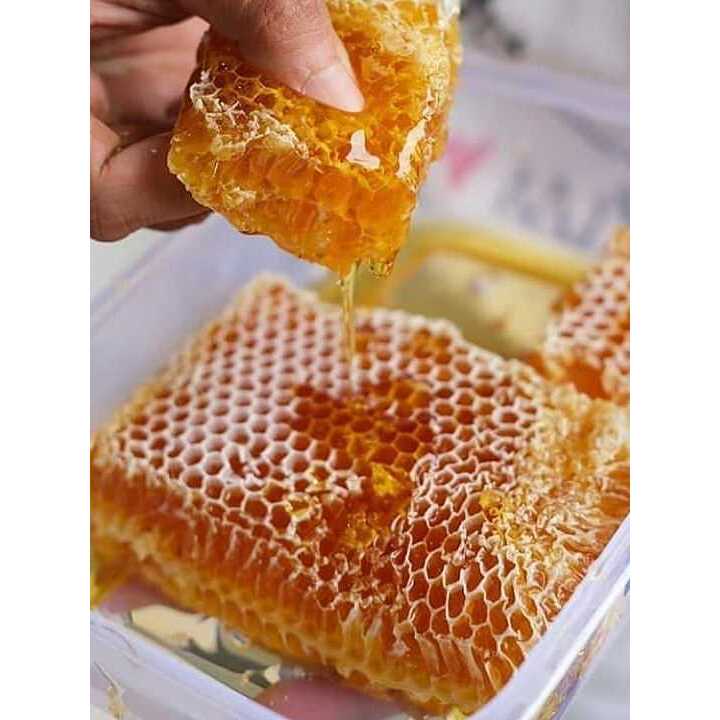 

SARANG MADU ASLI 500 gr Epis Melifera [MADU SARANG]